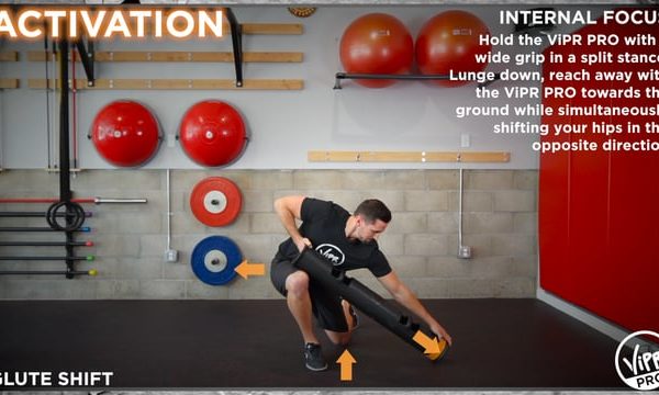 Exercises Archive Vipr Pro